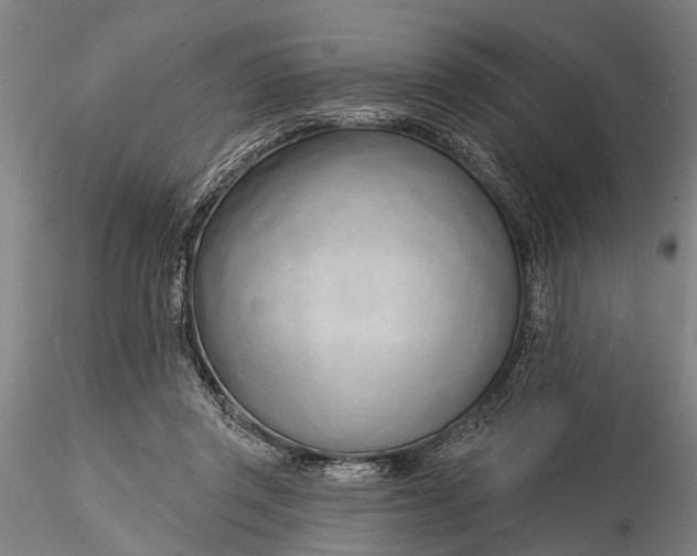 X0000116130357200912141115