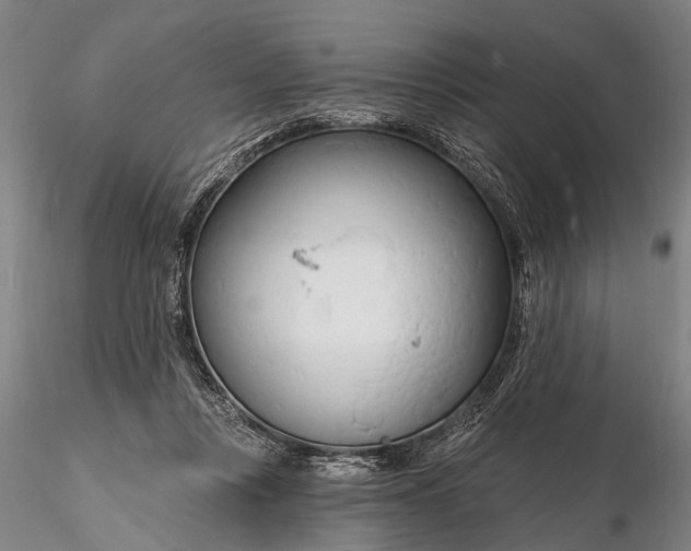 X0000116130359200912141115