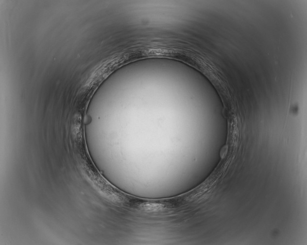 X0000116130361200912141115
