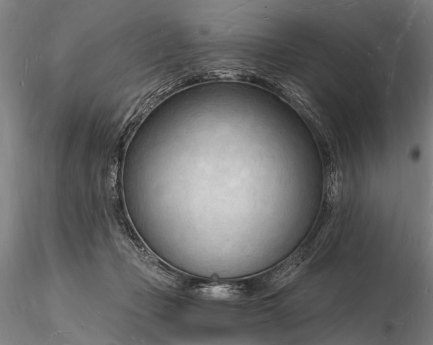 X0000116130365200912141115