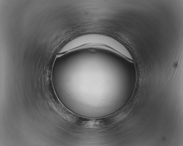 X0000116130366200912141115