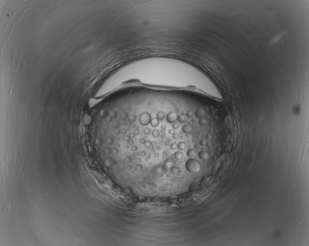 X0000116130367200912141115