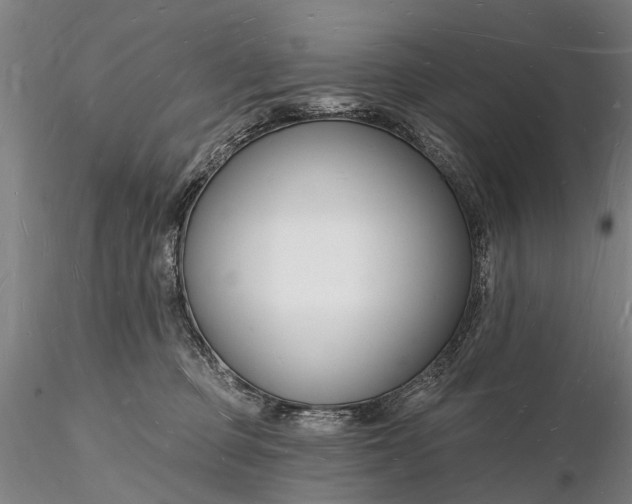 X0000116130373200912141115