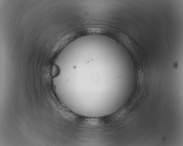 X0000116130377200912141115