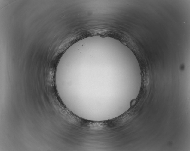 X0000116130378200912141115
