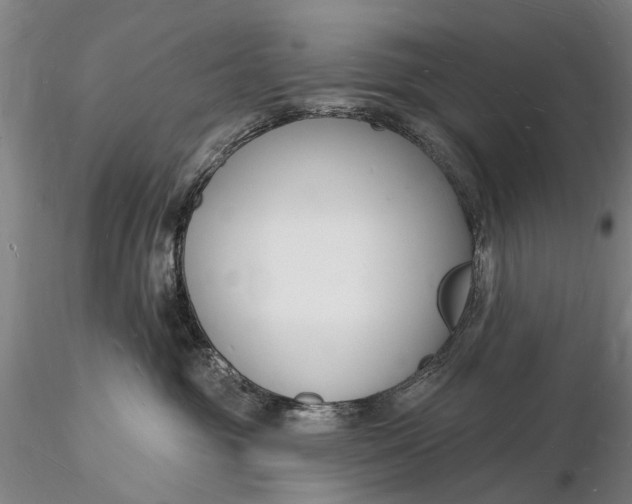 X0000116130381200912141115