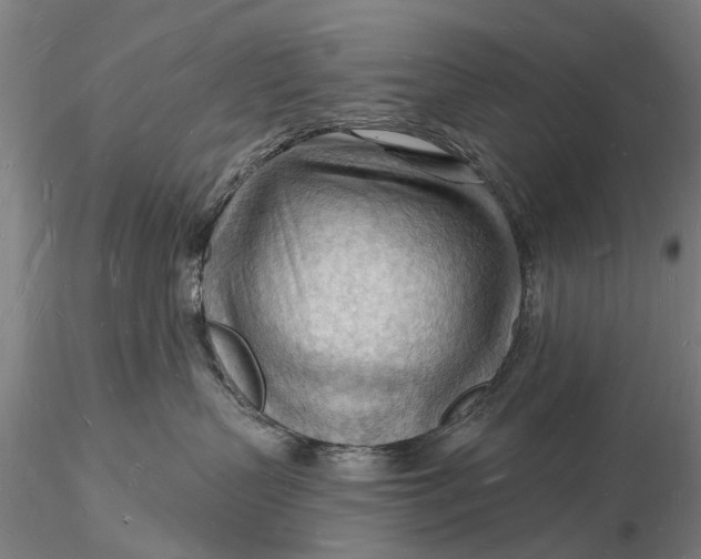 X0000116130383200912141115