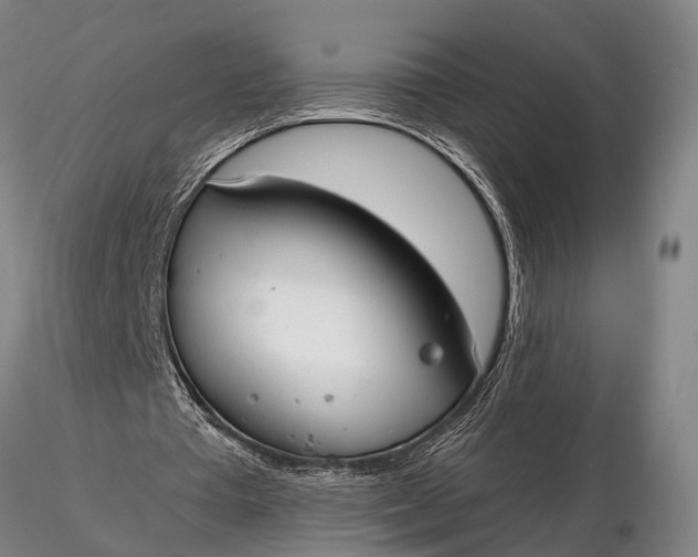 X0000116130385200912141115