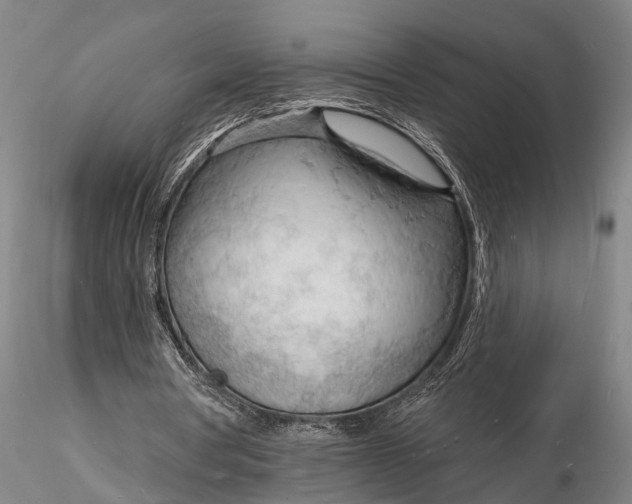 X0000116130386200912141115