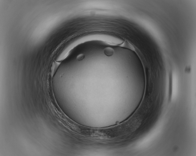 X0000116130387200912141115