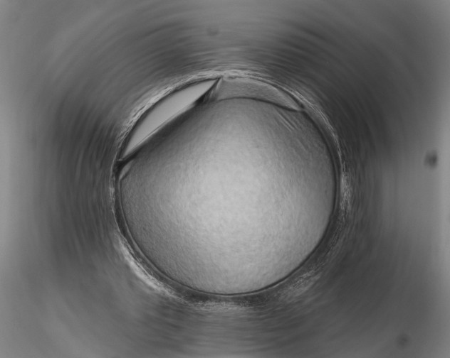 X0000116130389200912141114