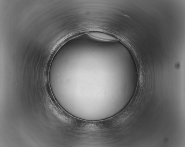 X0000116130390200912141114