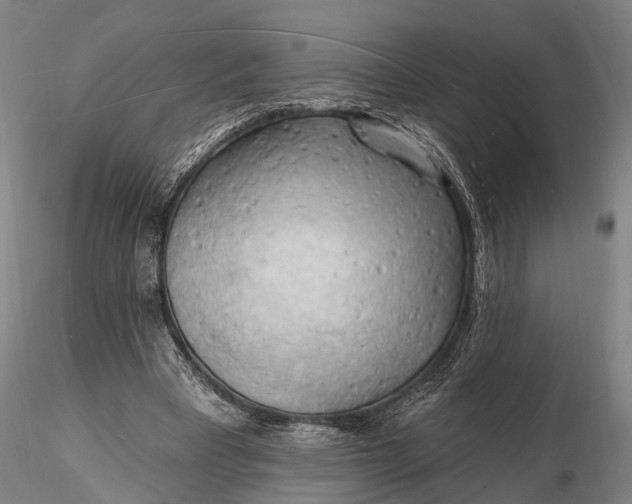 X0000116130393200912141114