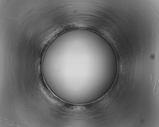 X0000116130398200912141114