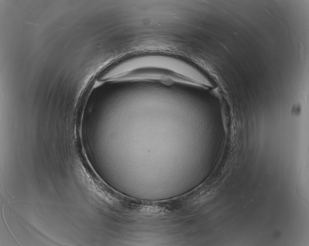 X0000116130399200912141114