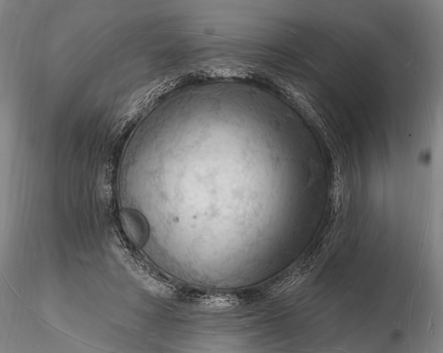 X0000116130402200912141114