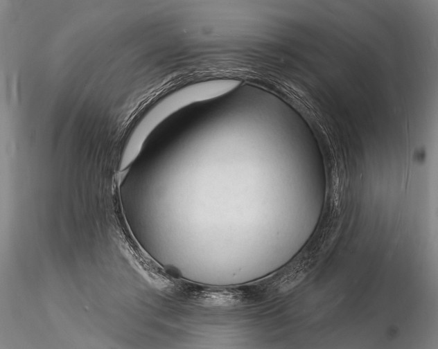 X0000116130405200912141114