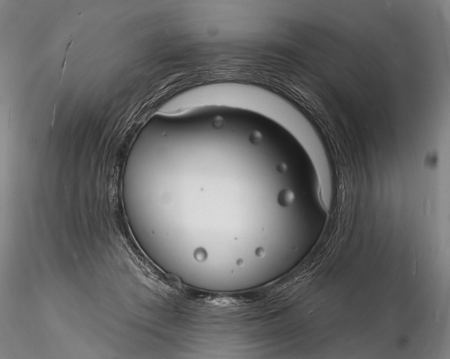 X0000116130409200912141114