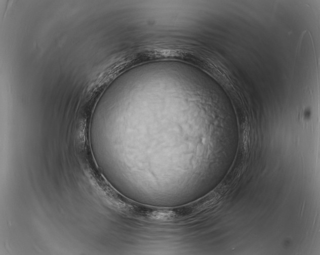 X0000116130410200912141114