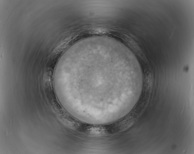 X0000116130415200912141114