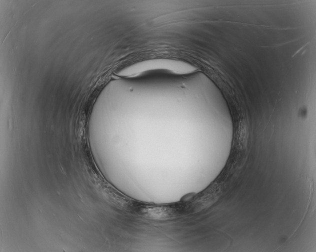 X0000116130417200912141114