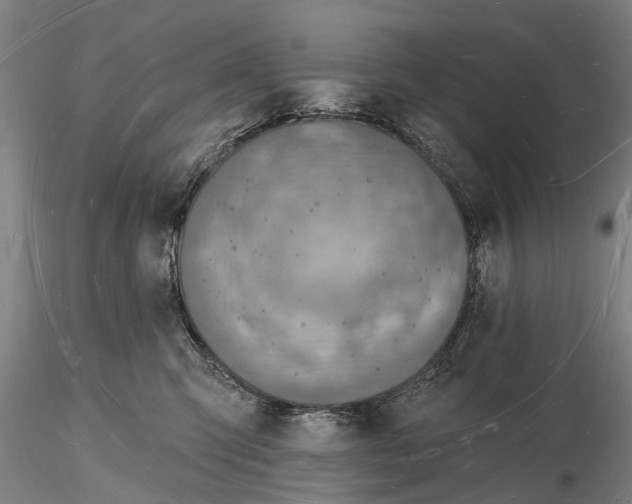 X0000116130423200912141114