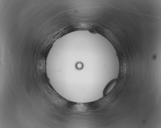 X0000116130425200912141114