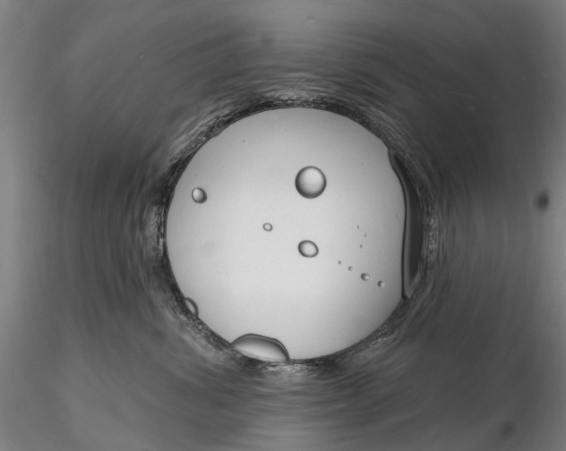 X0000116130428200912141114