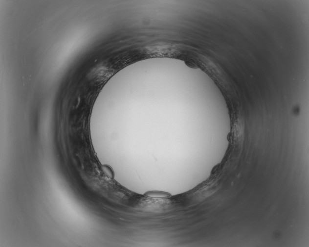 X0000116130429200912141114