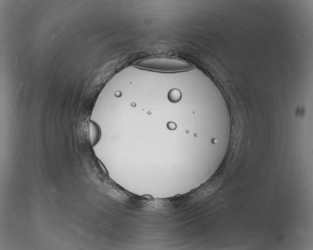X0000116130432200912141114