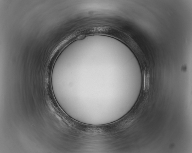 X0000116130435200912141113