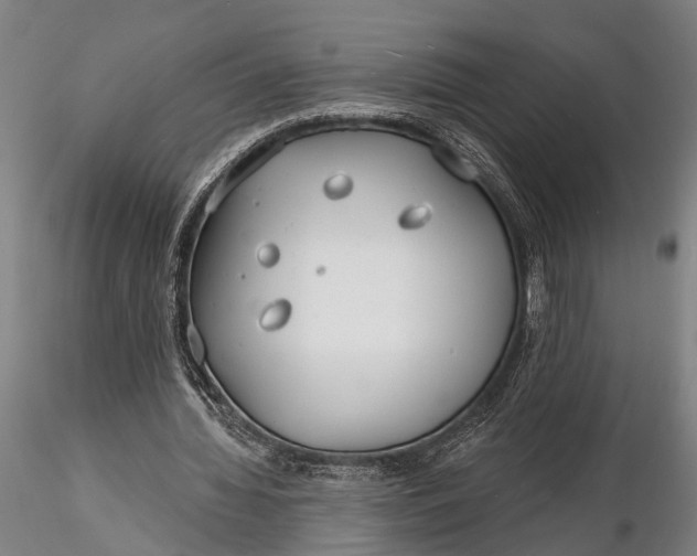 X0000116130436200912141113