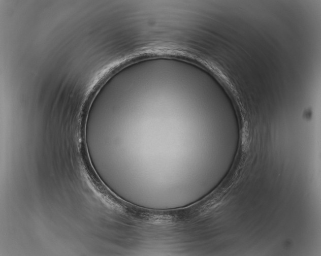 X0000116130438200912141113