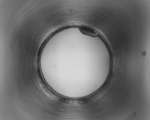 X0000116130439200912141113