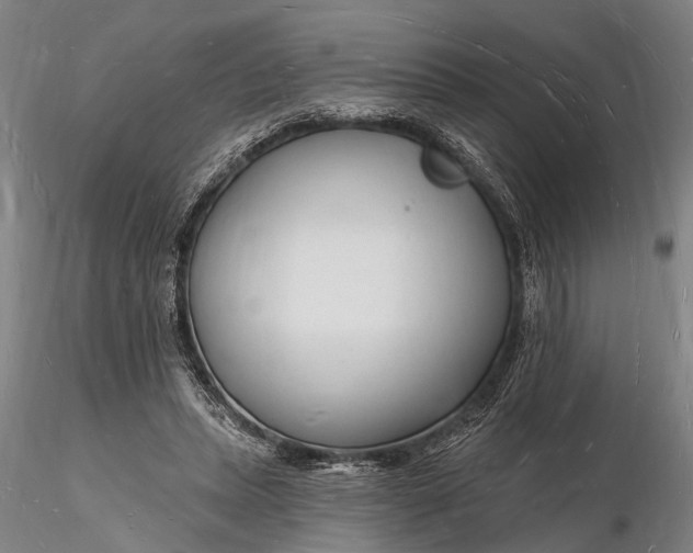 X0000116130447200912141113