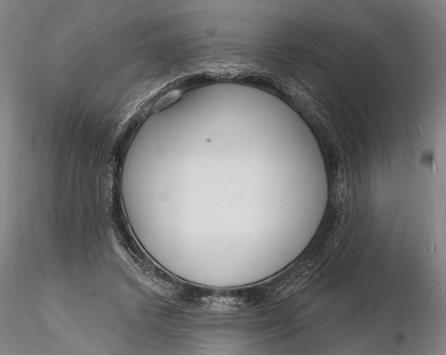 X0000116130448200912141113