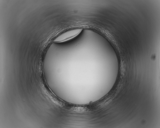X0000116130449200912141113