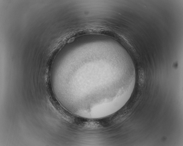 X0000116130451200912141113