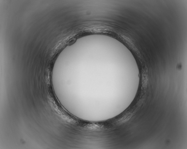 X0000116130453200912141113