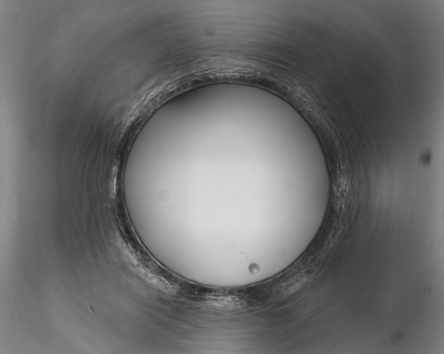 X0000116130454200912141113