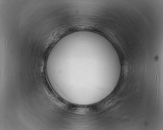 X0000116130458200912141113