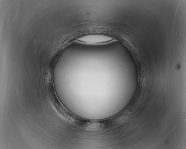 X0000116130459200912141113