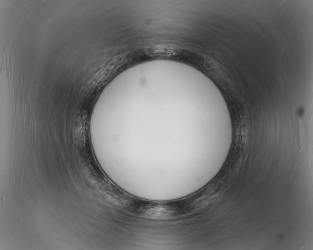 X0000116130460200912141113