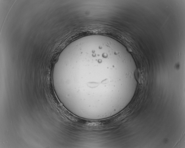 X0000116130461200912141113