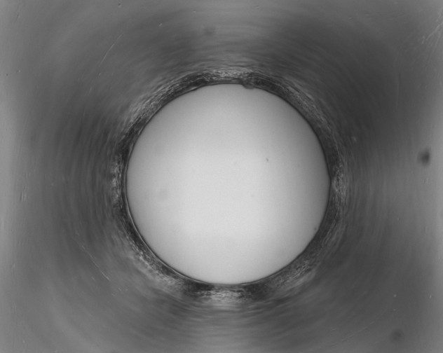 X0000116130462200912141113