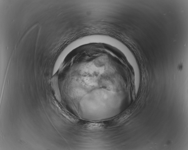 X0000116130465200912141113
