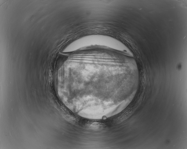 X0000116130467200912141114