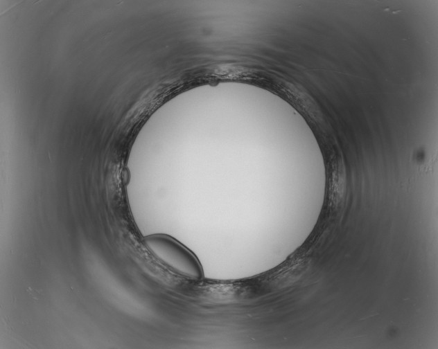 X0000116130473200912141114