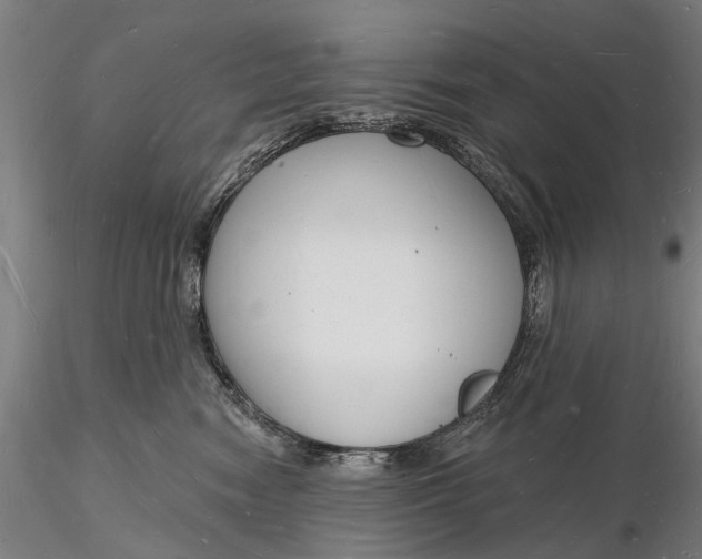 X0000116130474200912141114