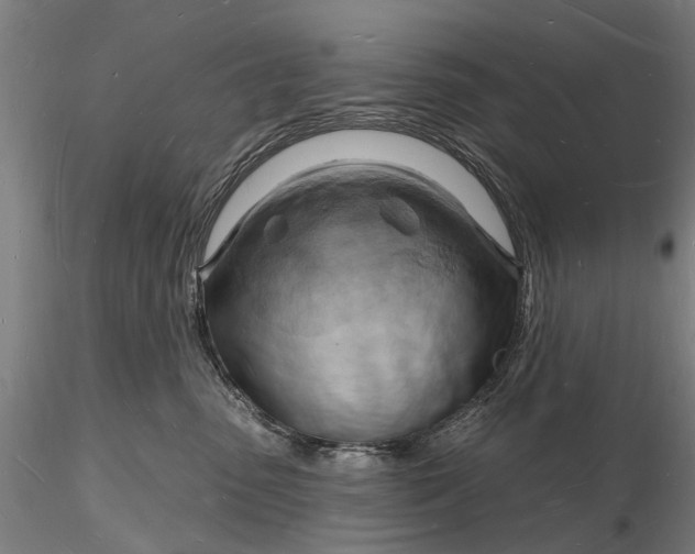 X0000116130475200912141114